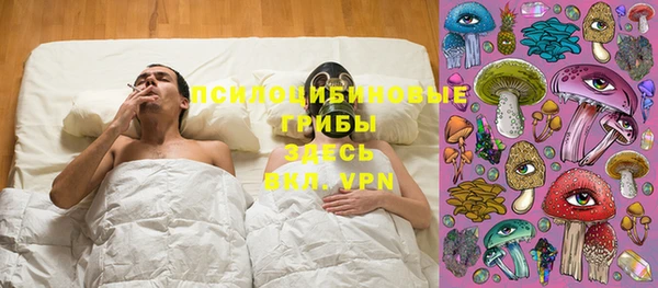 шишки Алексеевка