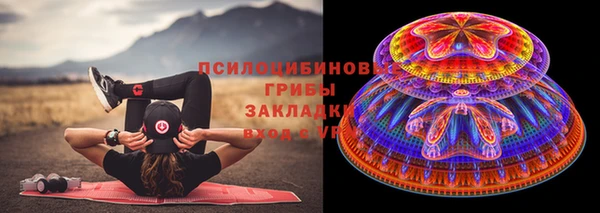 гашик Алзамай