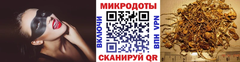 как найти закладки  Бакал  Псилоцибиновые грибы MAGIC MUSHROOMS 