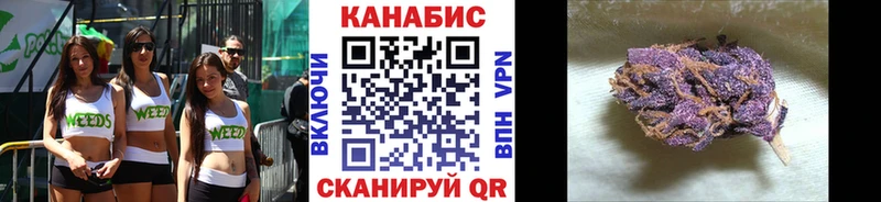 Бошки марихуана Amnesia  Бакал 
